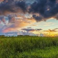 22-06-15-wanneperveen3_HDR.jpg
