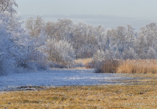 Landschap in de winter