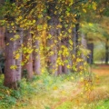 04-11-16-Ansen2.jpg