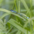 10_07_15_9999_115-waterjuffer.jpg