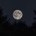 08-09-14-7314-moon.jpg
