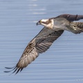 030917img-8867-visarend.jpg